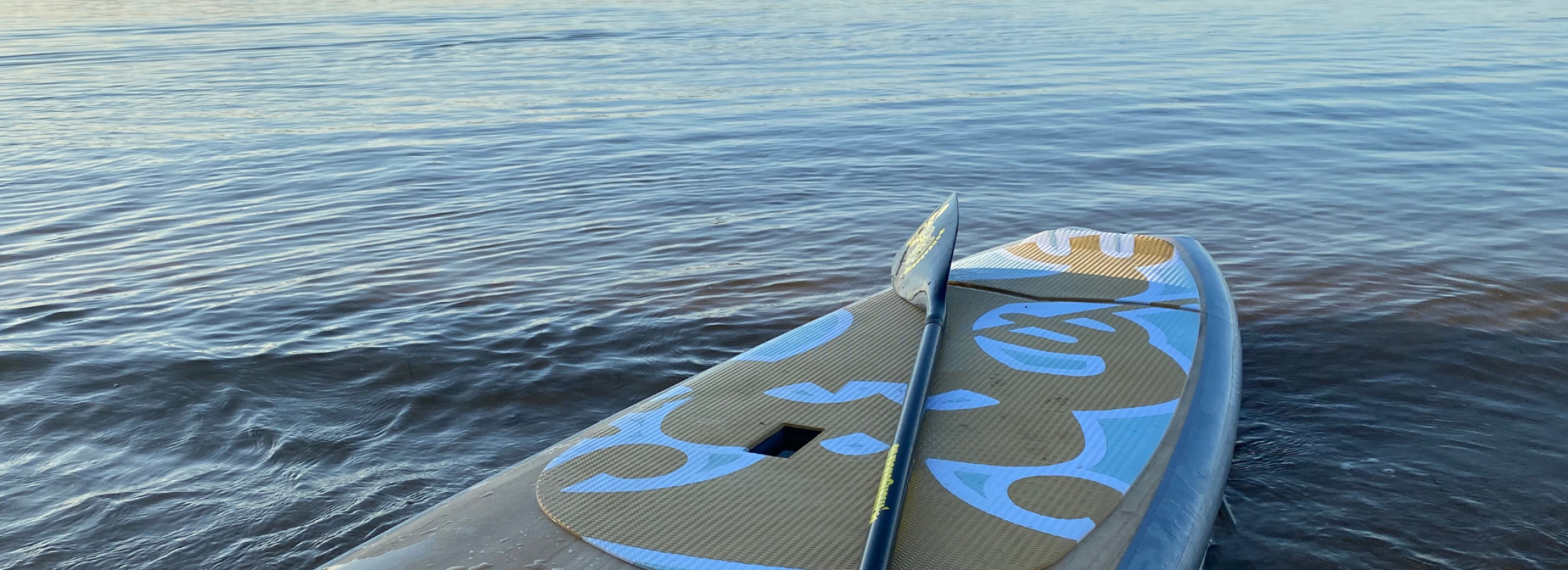 Website Banner #1 (1920 x 900 px) (3)